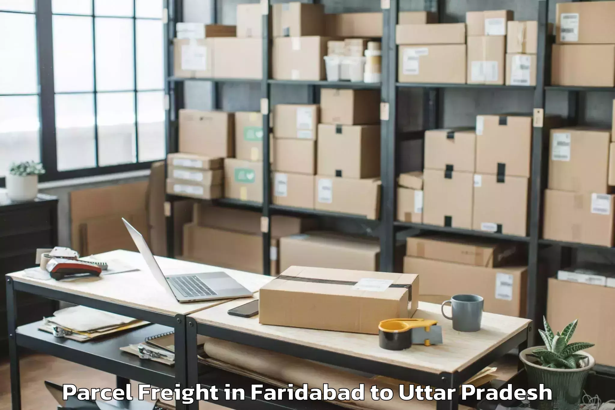 Easy Faridabad to Monad University Hapur Parcel Freight Booking